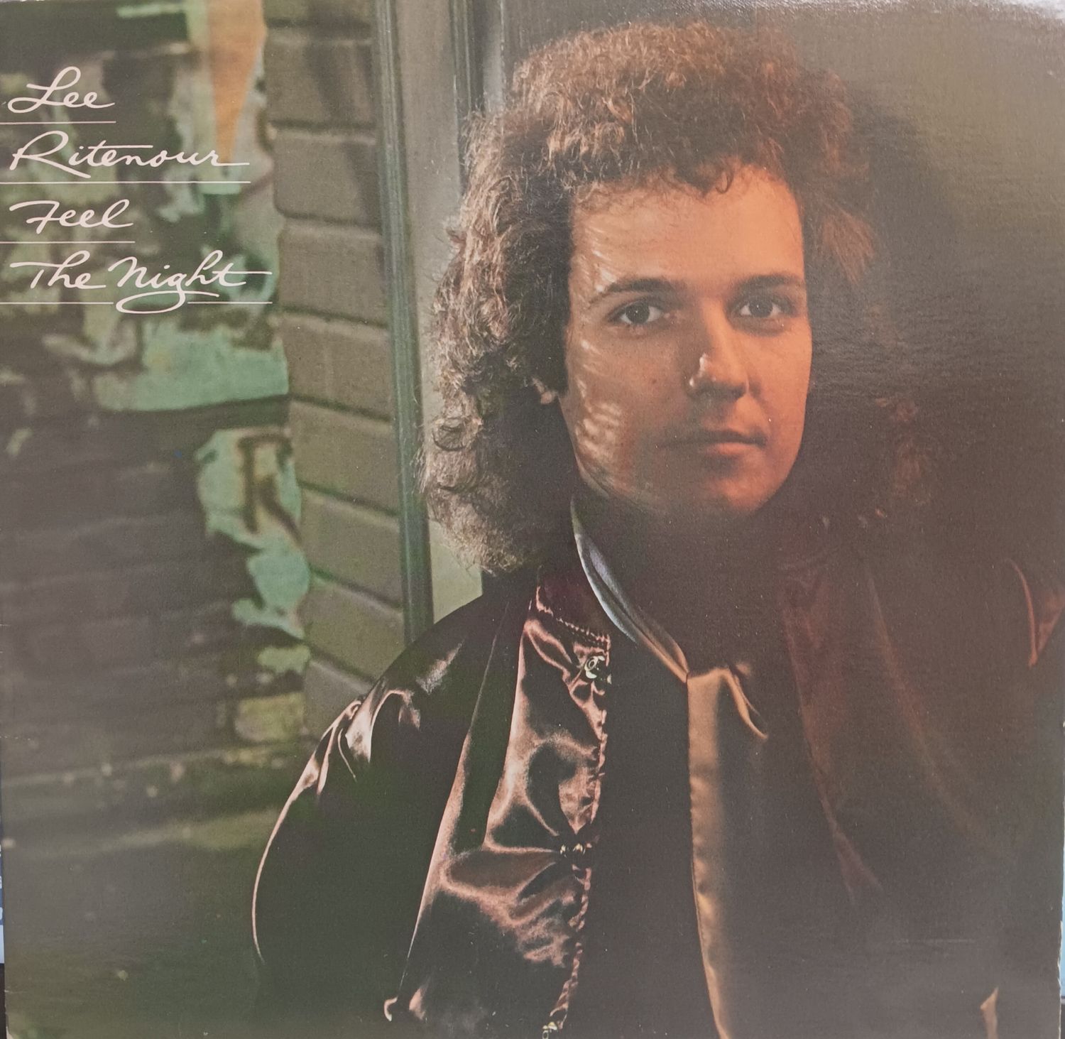 LEE RITENOUR - FEEL THE NIGHT