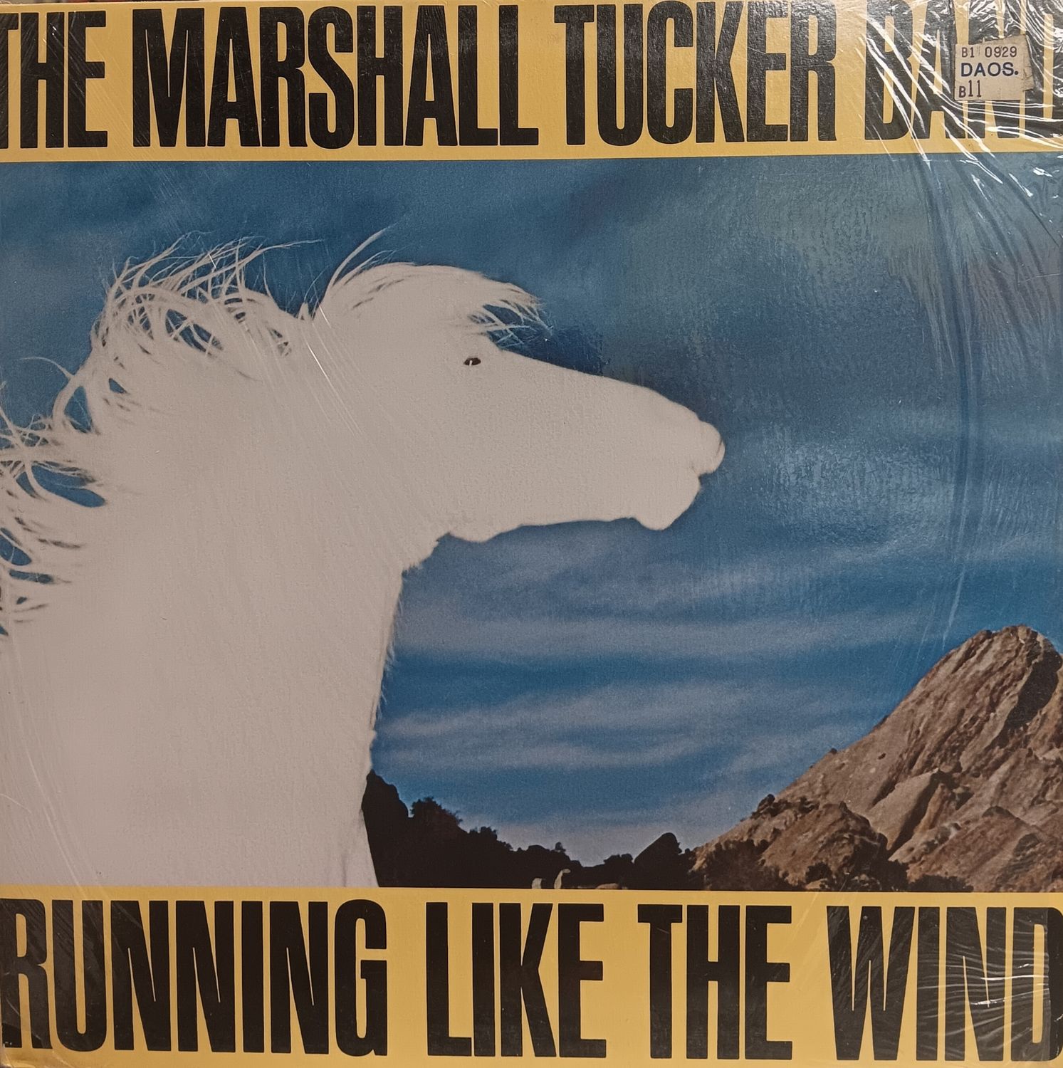 THE MARSHALL TUCKER BAND - Running like the wind