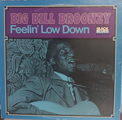 BIG BILL BROONZY - BIG BILL BROONZY
