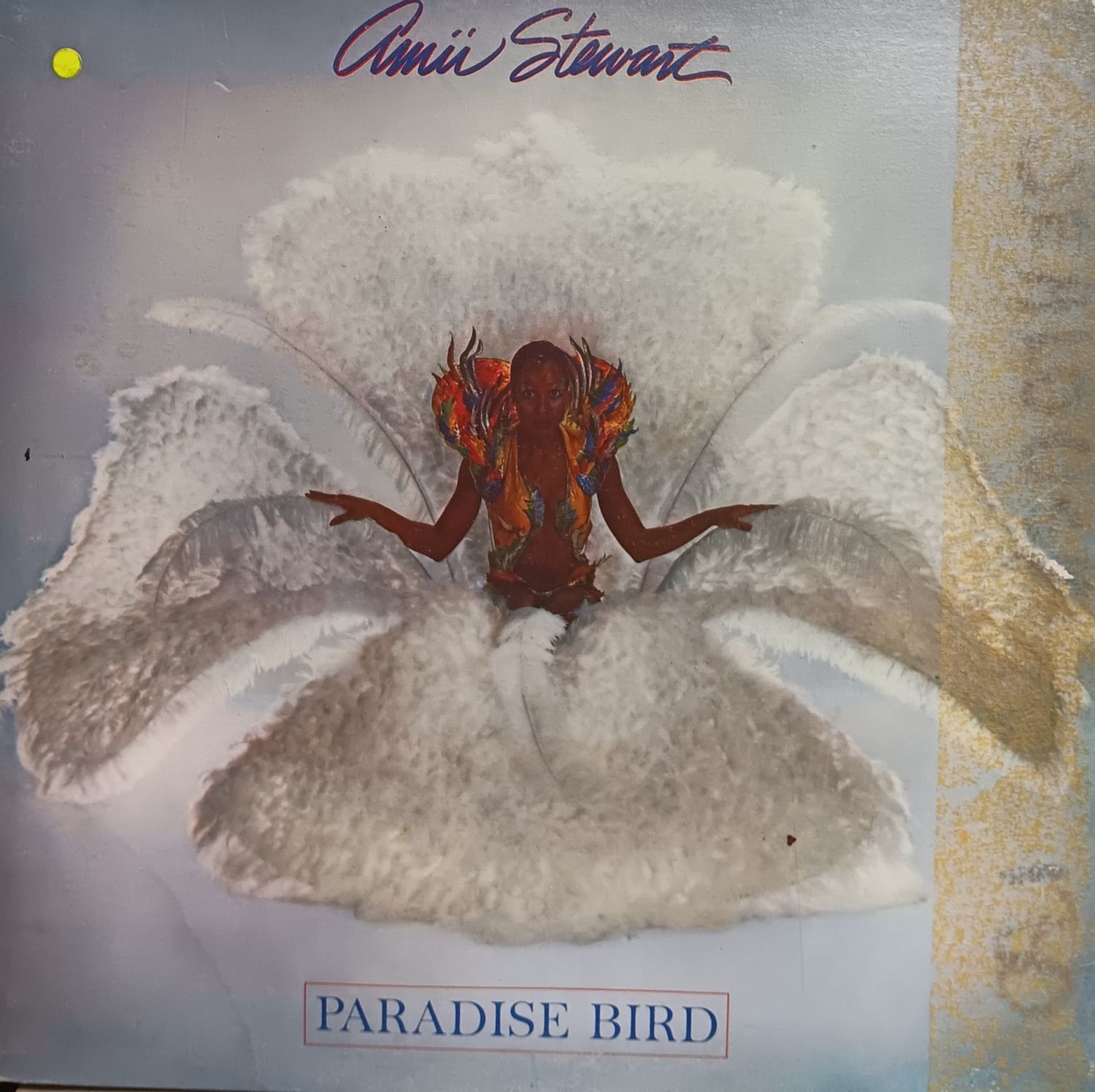 AMII STEWART - PARADISE BIRD