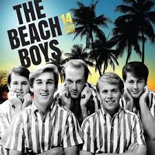 THE BEACH BOYS - 14 GRANDS SUCCÈS (CD / NEUF)