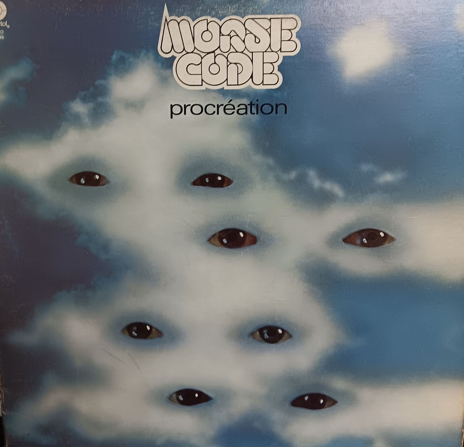 MORSE CODE - PROCRÉATION