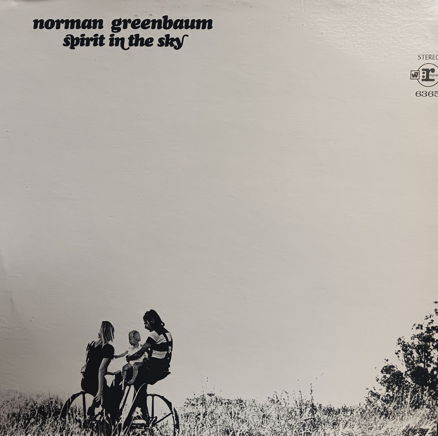 ROMAN GREENBAUM - SPIRIT IN THE SKY