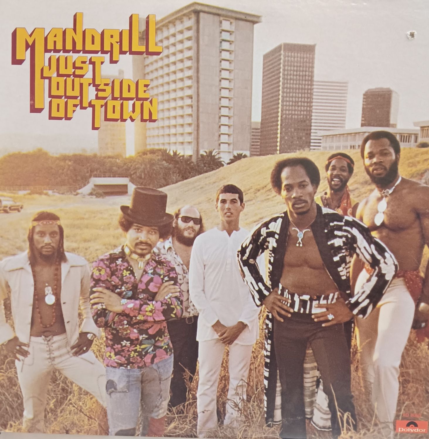 MANDRILL - JUST OUTSIDE OF TOWN