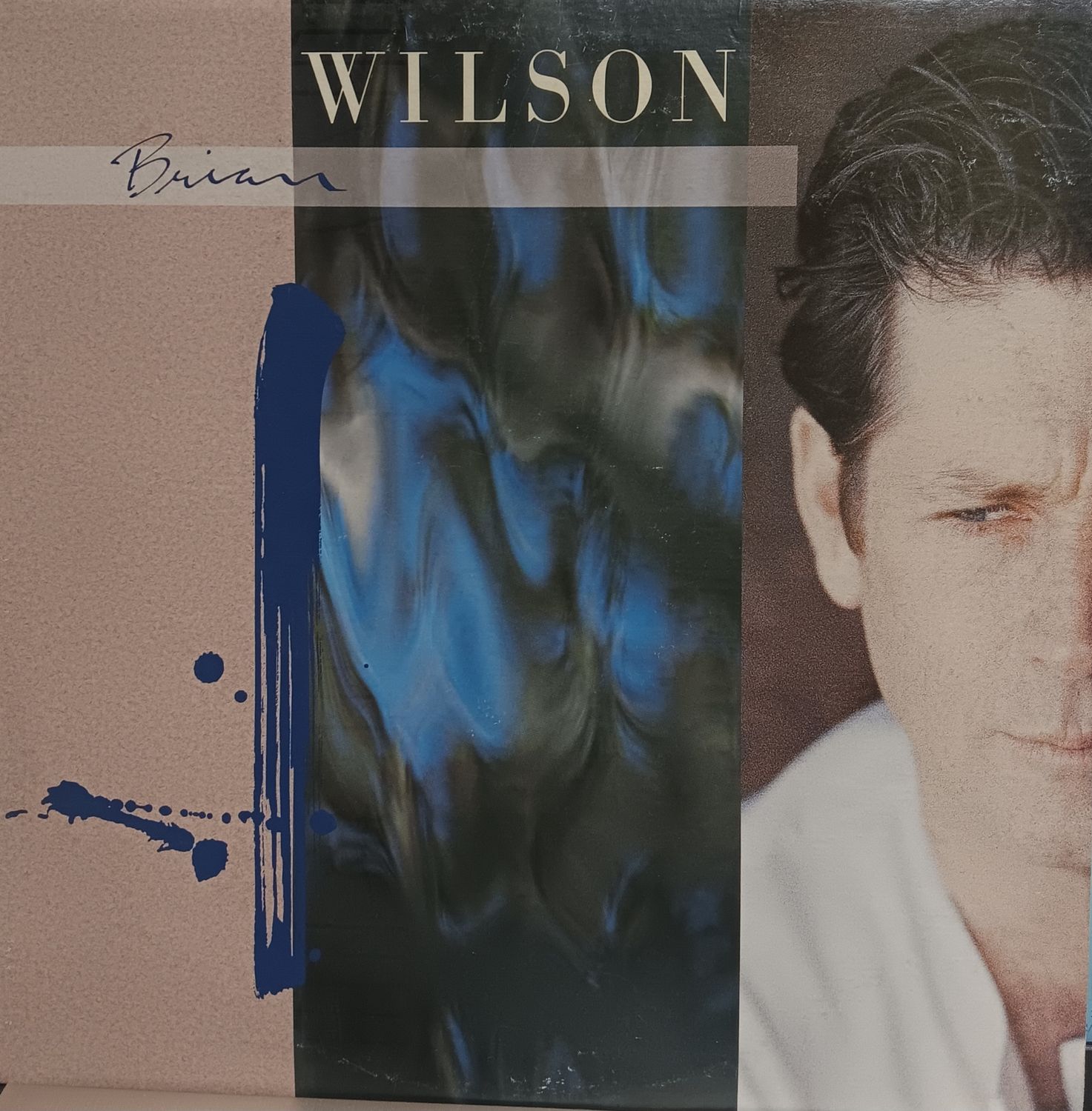 BRIAN WILSON - BRIAN WILSON