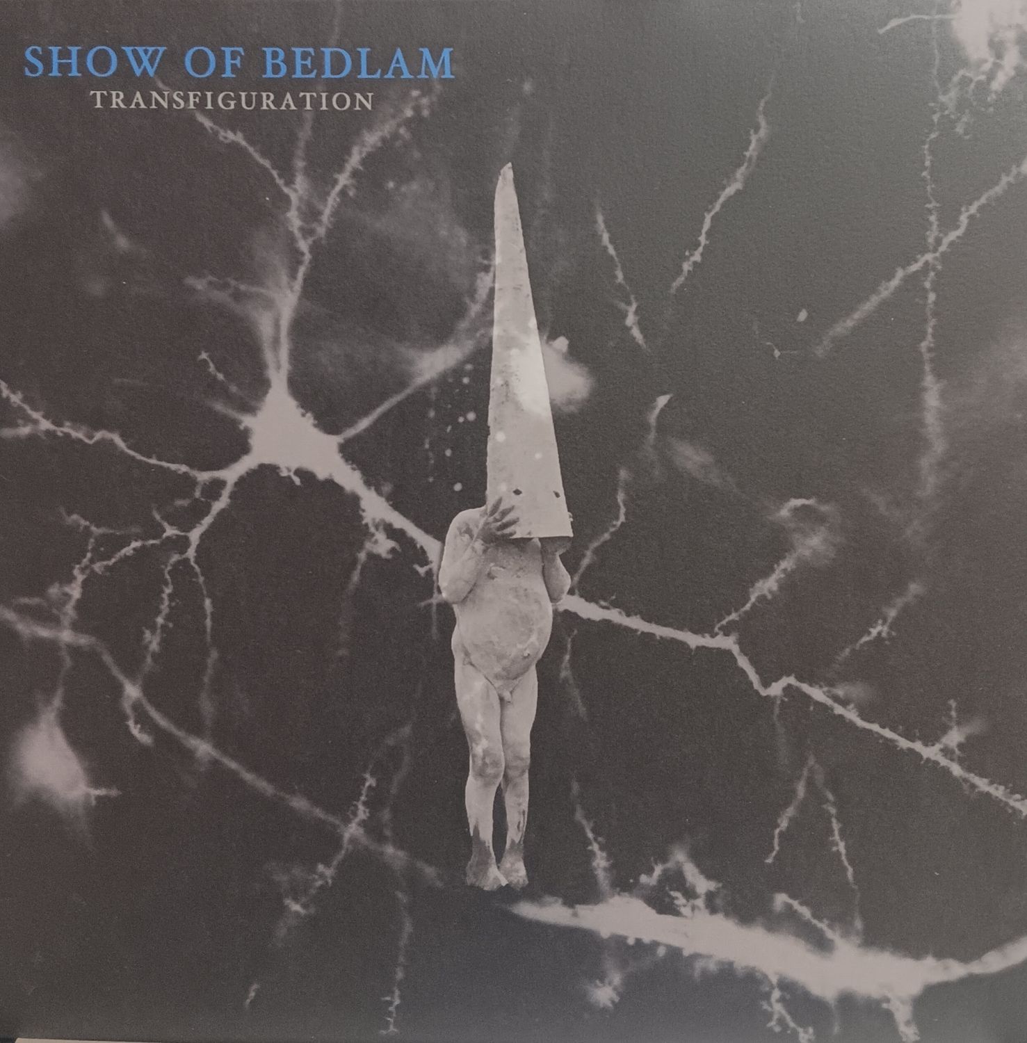 SHOW OF BEDLAM - TRANSFIGURATION (BLEU)