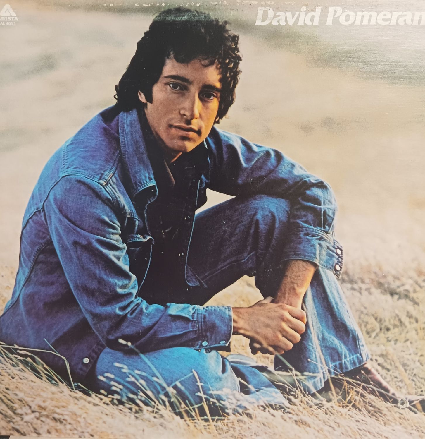 DAVID POMERANZ - IT'S IN EVERYONE OF US