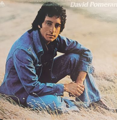DAVID POMERANZ - IT'S IN EVERYONE OF US