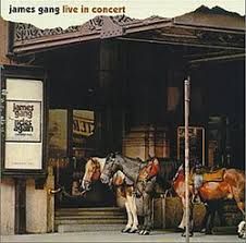 JAMES GANG - JAMES GANG LIVE IN CONCERT (CD)