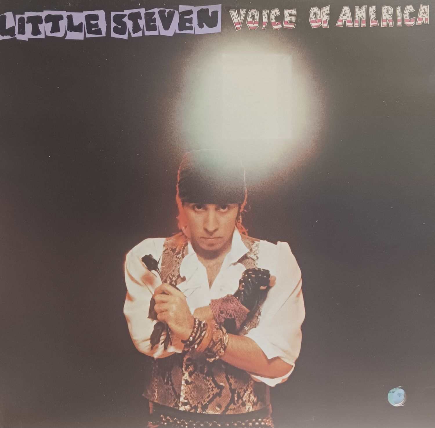 LITTLE STEVEN - VOICE OF AMERICA