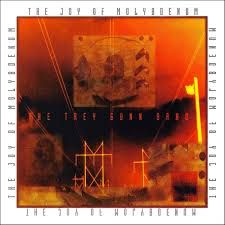 THE TREY GUNN BAND - THE JOY OF MOLYBOENUM (CD)
