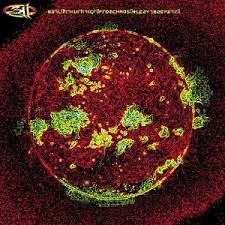 311 - FROM CHAOS (CD)