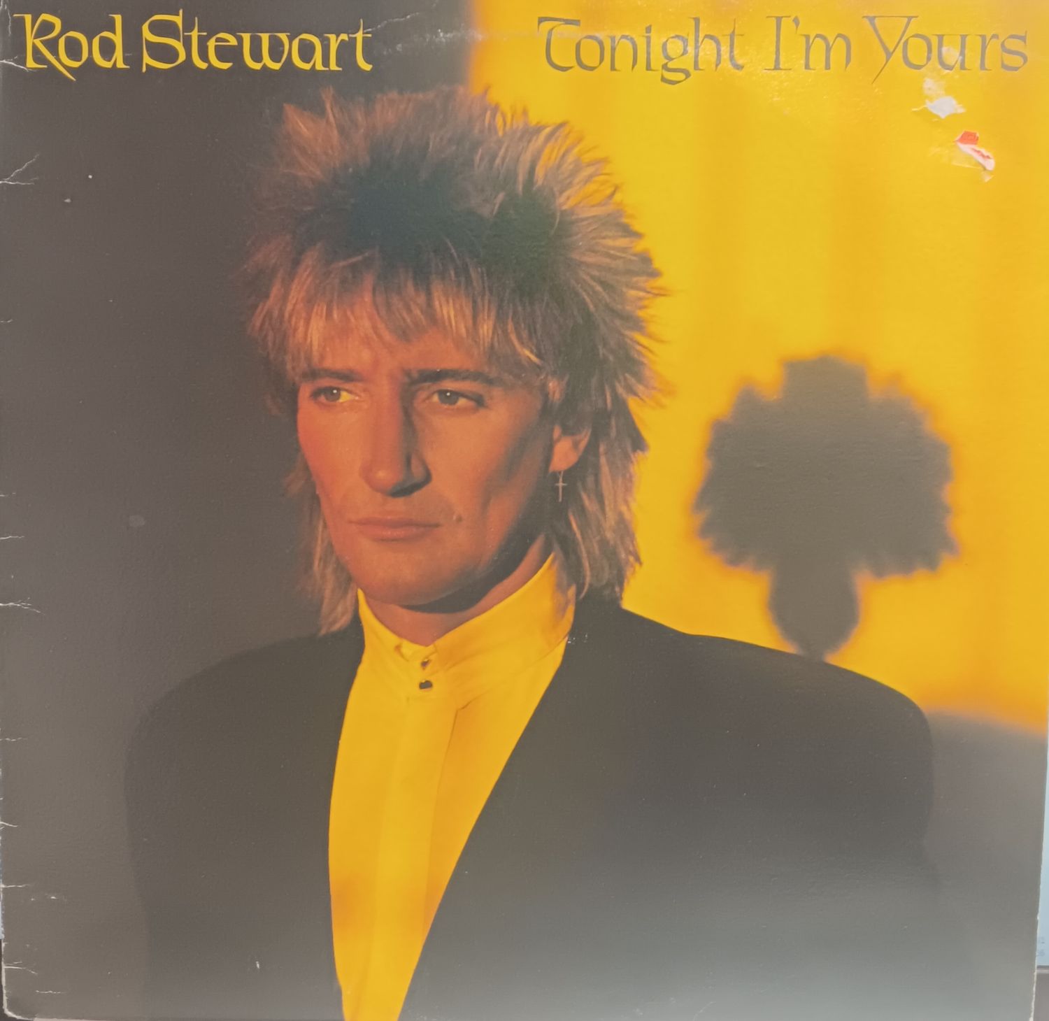 ROD STEWART - TONIGHT I'M YOURS