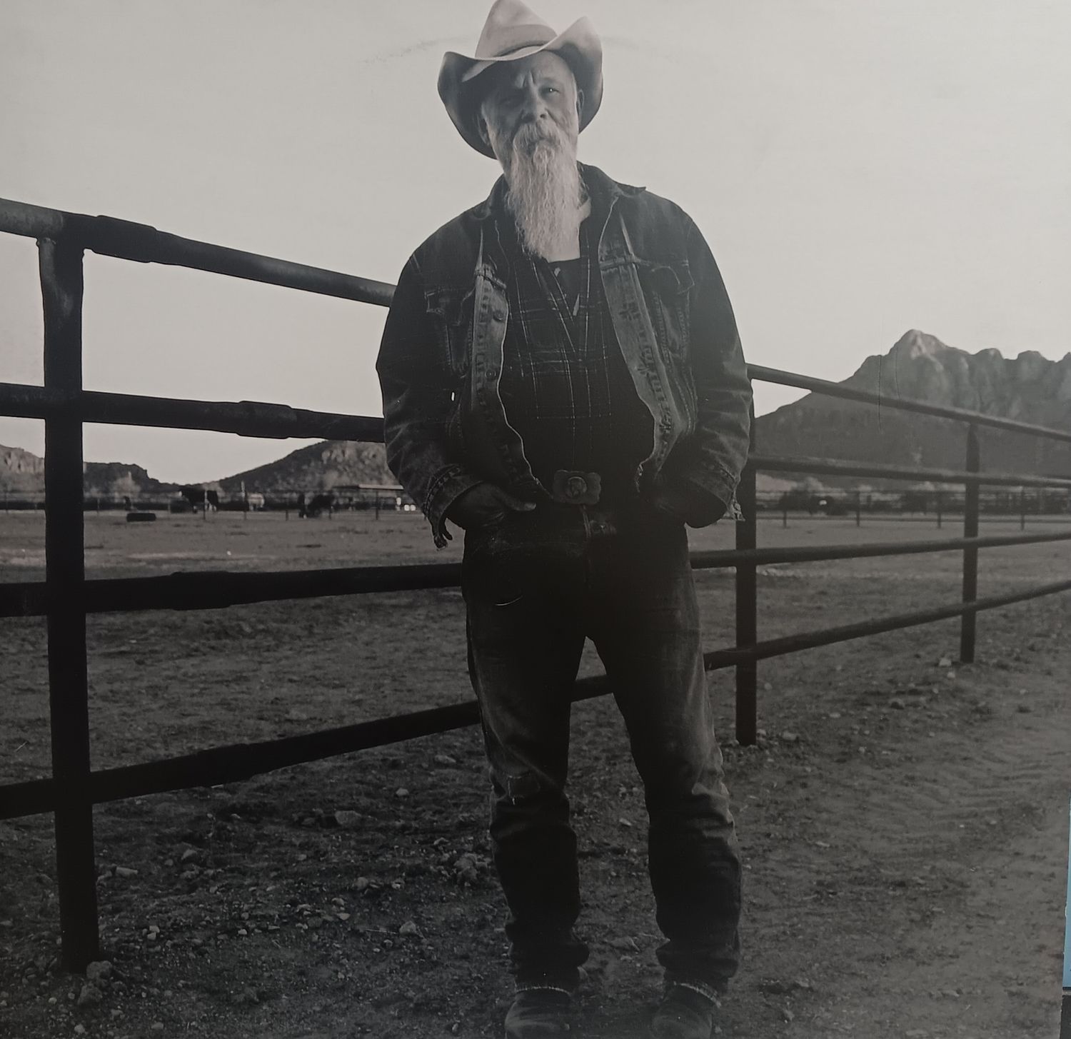 SEASICK STEVE - KEEPIN THE HORSE BETWEEN ME AND THE GROUND