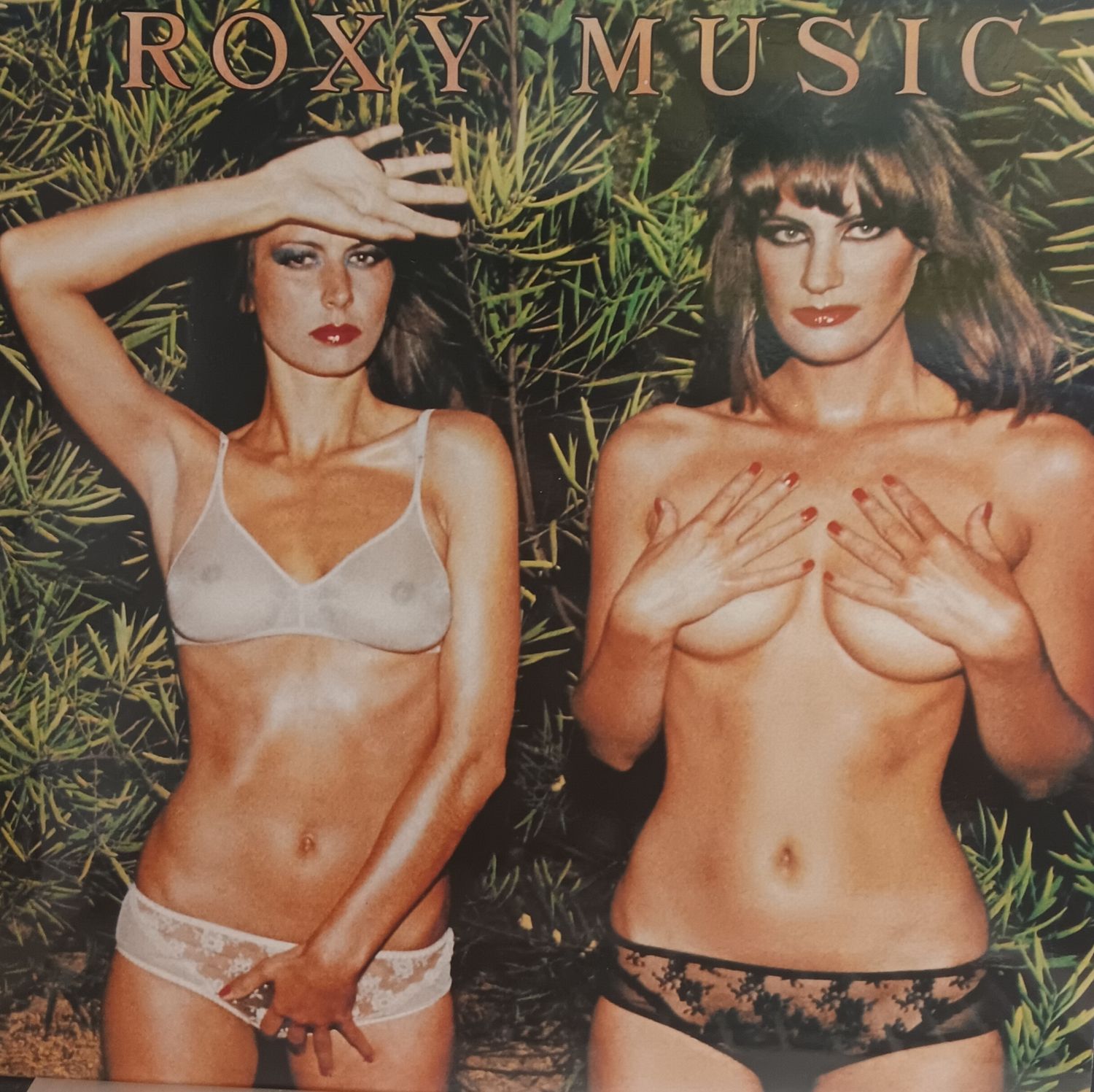 ROXY MUSIC - COUNTRY LIFE