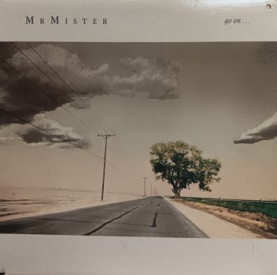 MR MISTER - GO ON