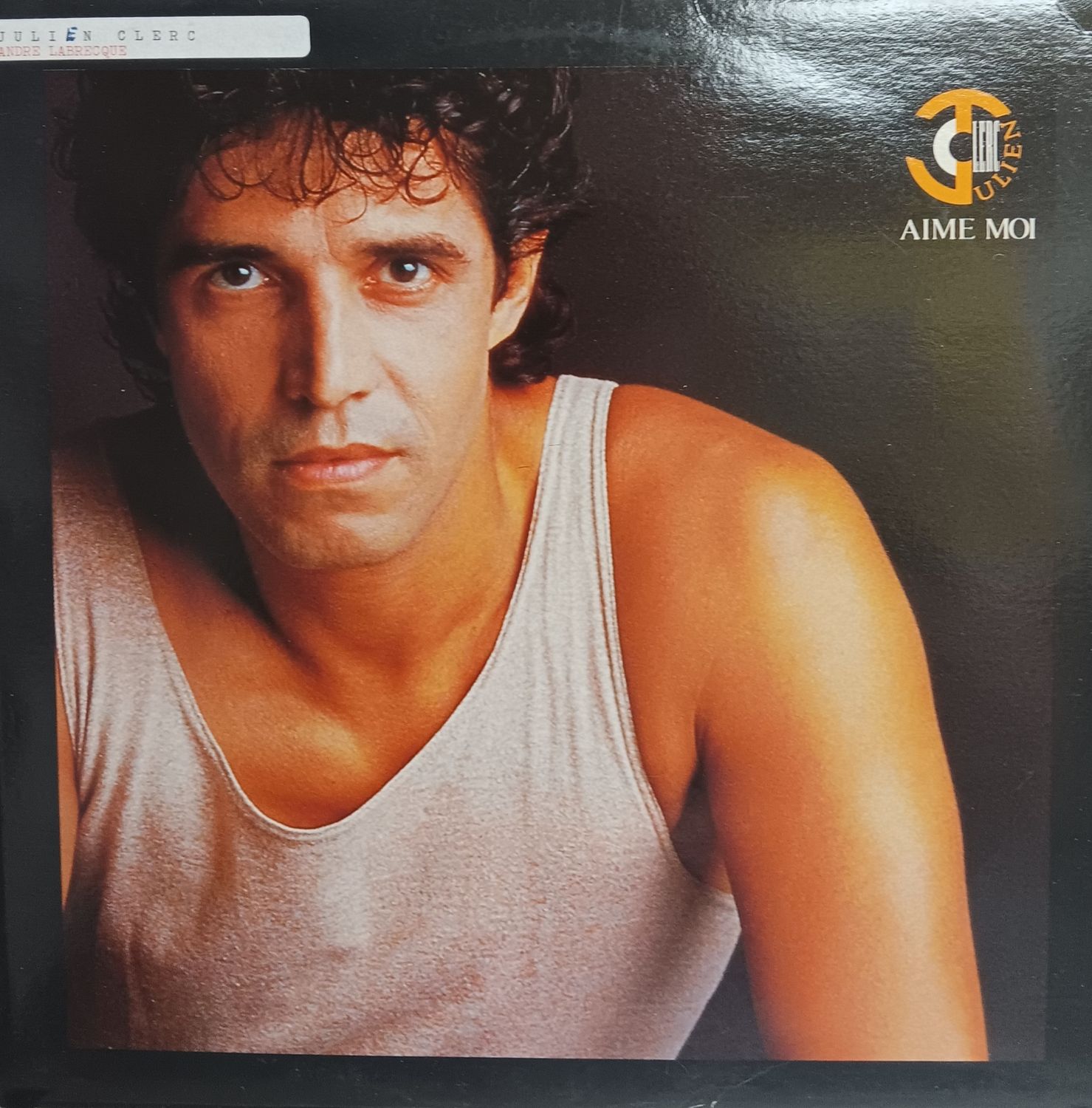 JULIEN CLERC - AIME-MOI