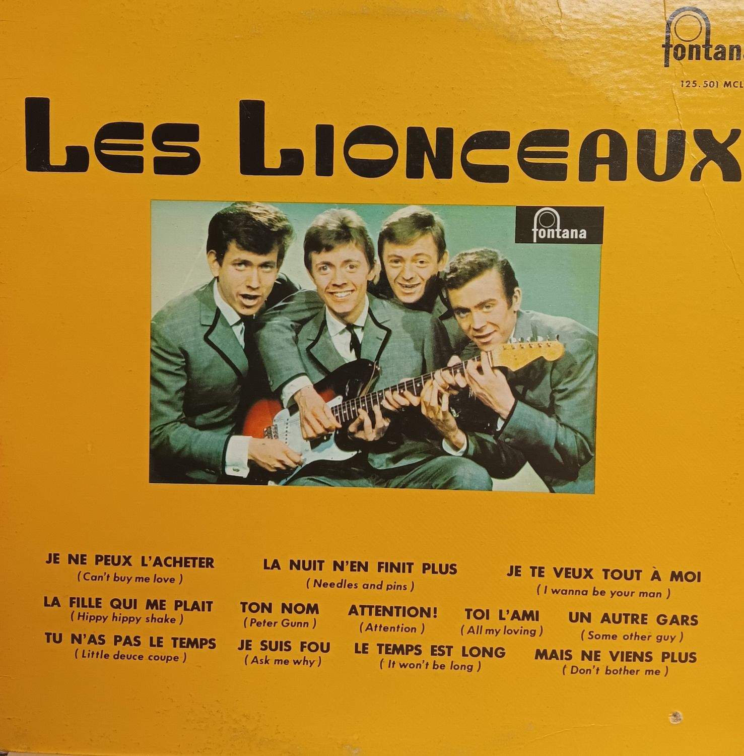 LES LIONCEAUX - LES LIONCEAUX