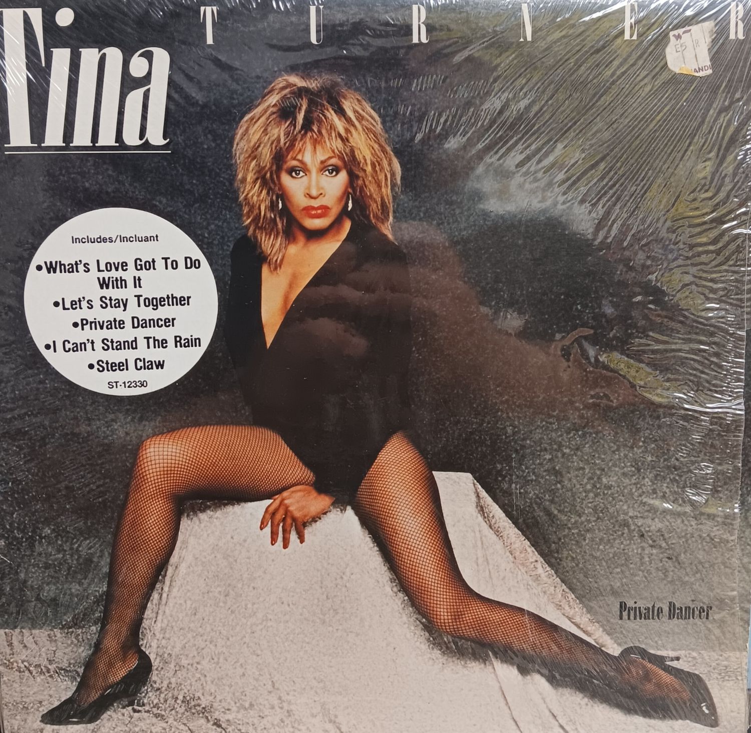 TINA TURNER - PRIVATE DANCER