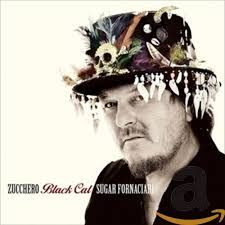 ZUCCHERO - BLACK CAT (CD)