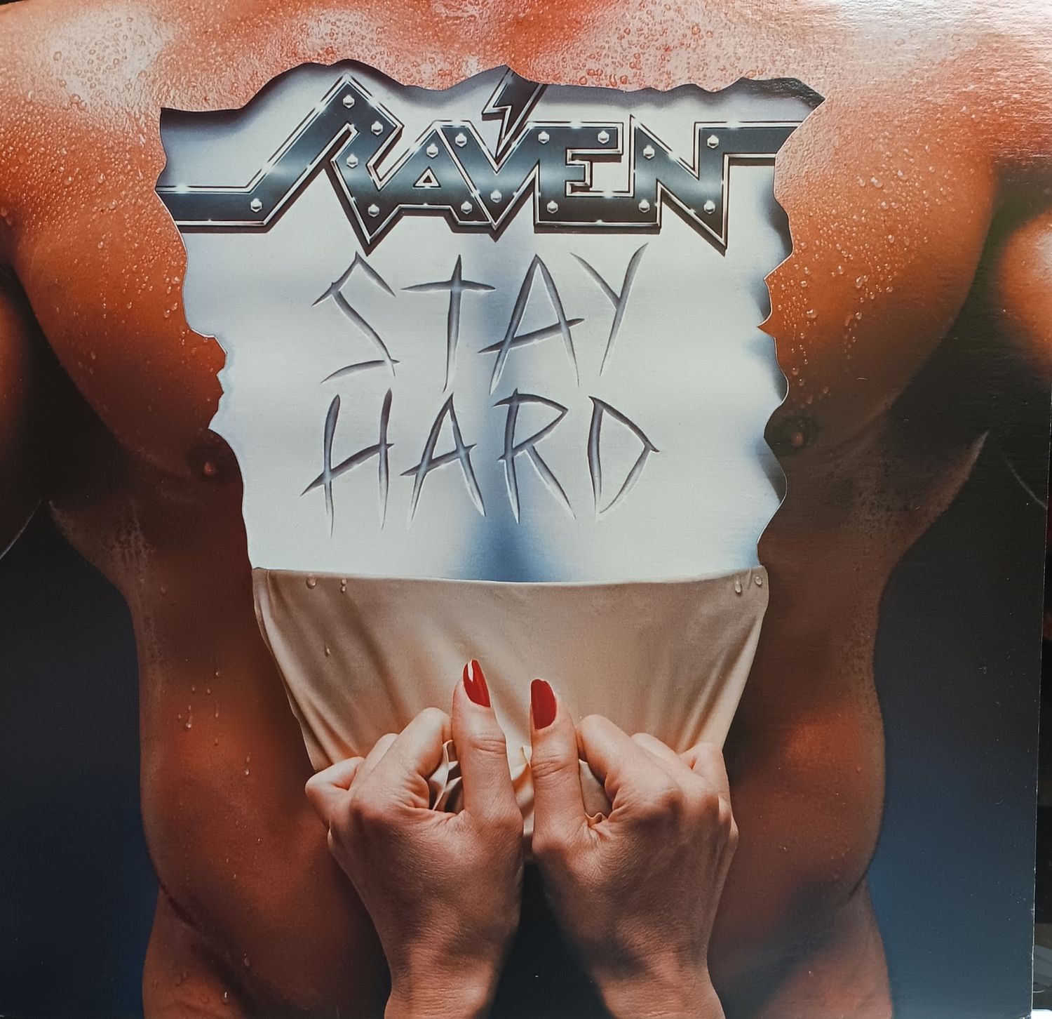 RAVEN - STAY HARD