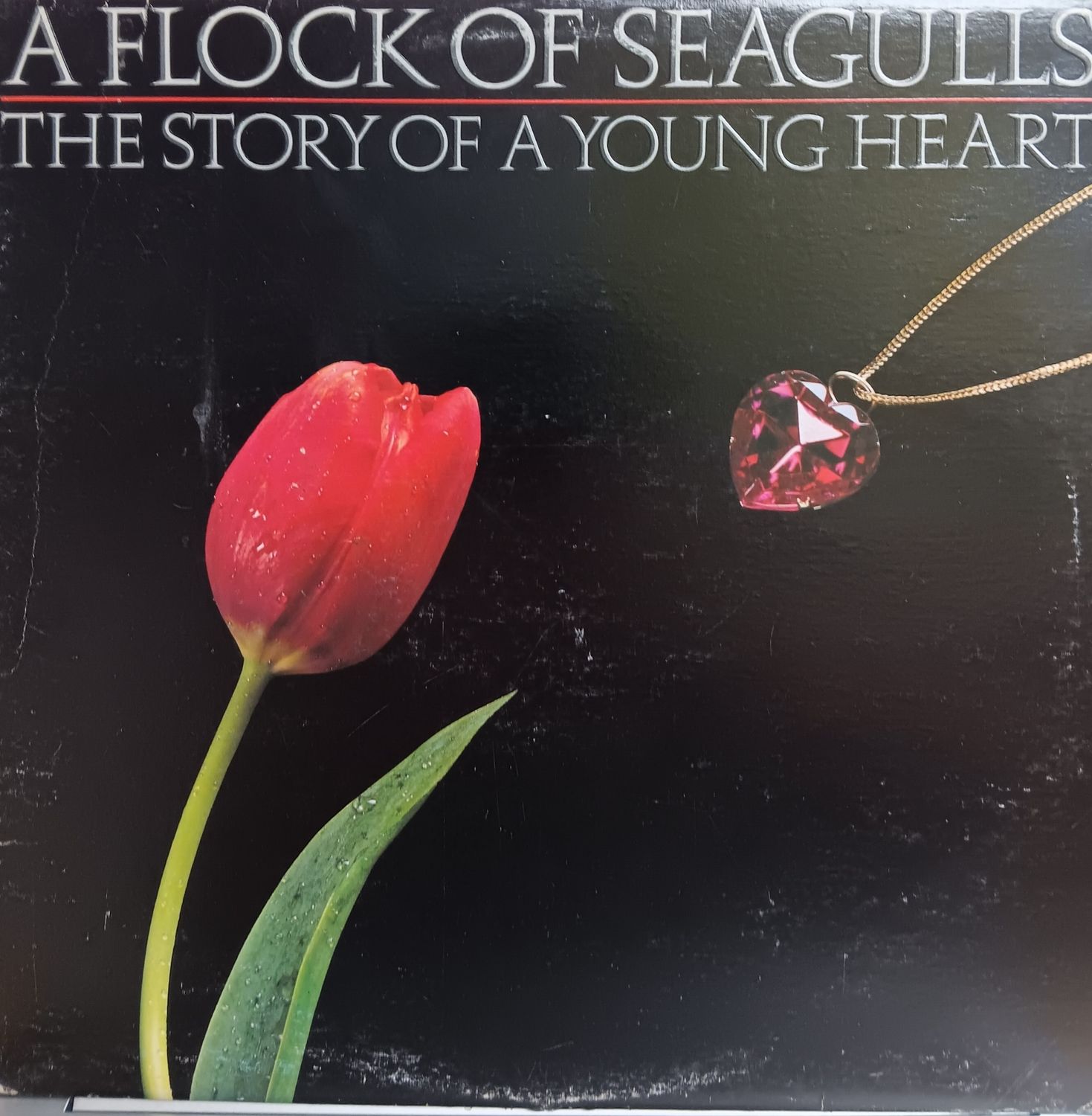 A FLOCK OF SEAGULLS - THE STORY OF A YOUNG HEART