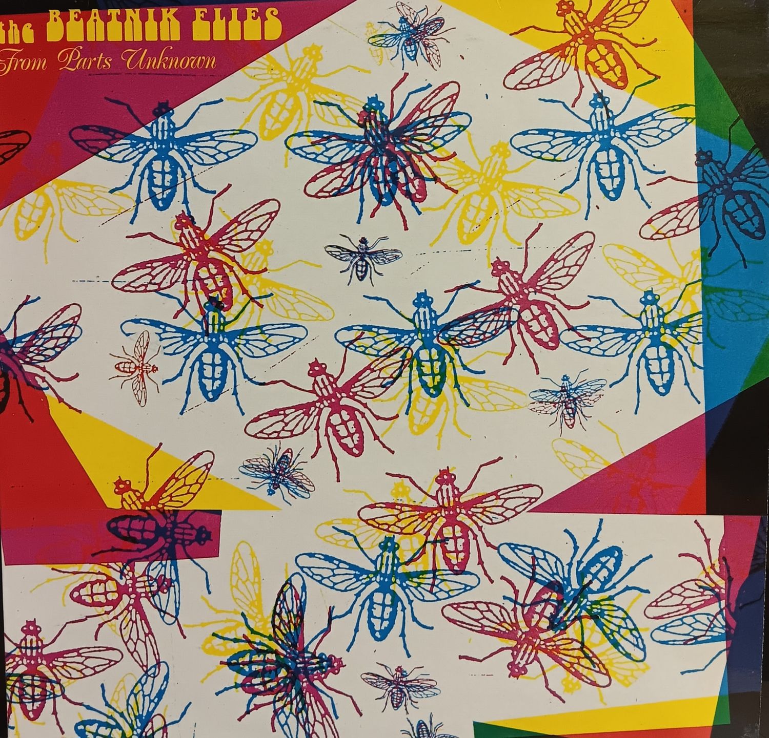 THE BEATNIK FLIES - FROM PARTS UNKNOWN (FRANCE)