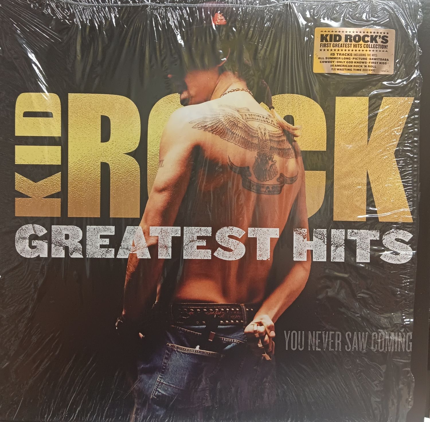 KID ROCK - GREATEST HITS