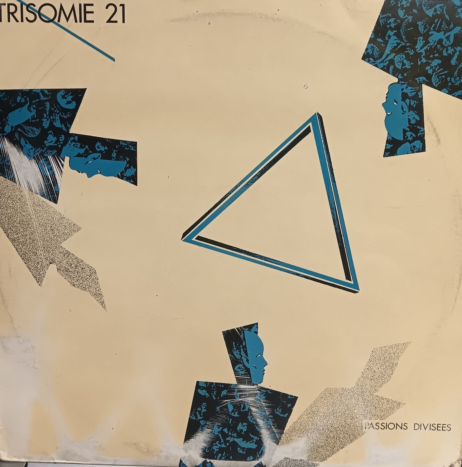 TRISOMIE 21 - PASSIONS DIVISÉES