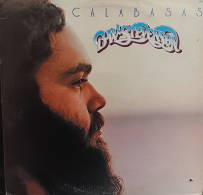 B.W. STEVENSON - CALABASAS
