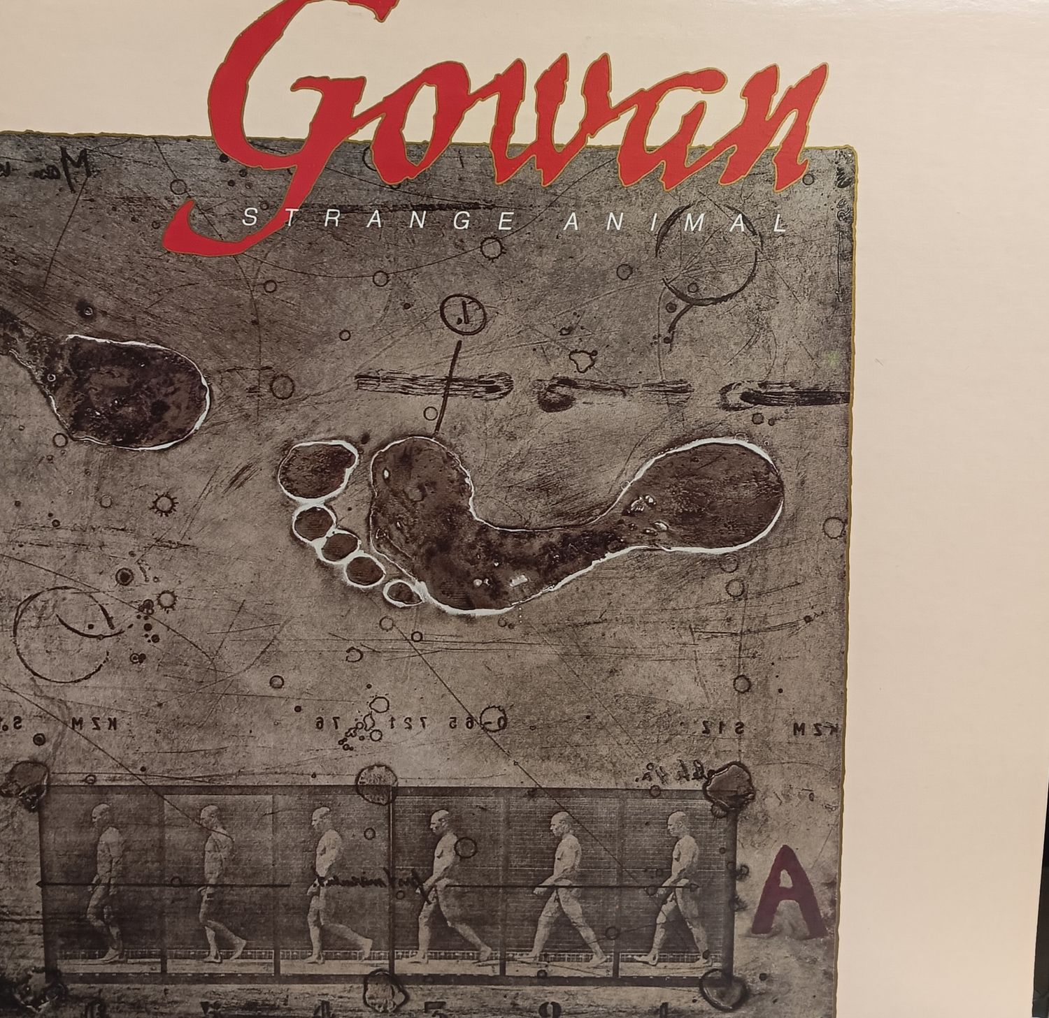 GOWAN - STRANGE AMIMAL