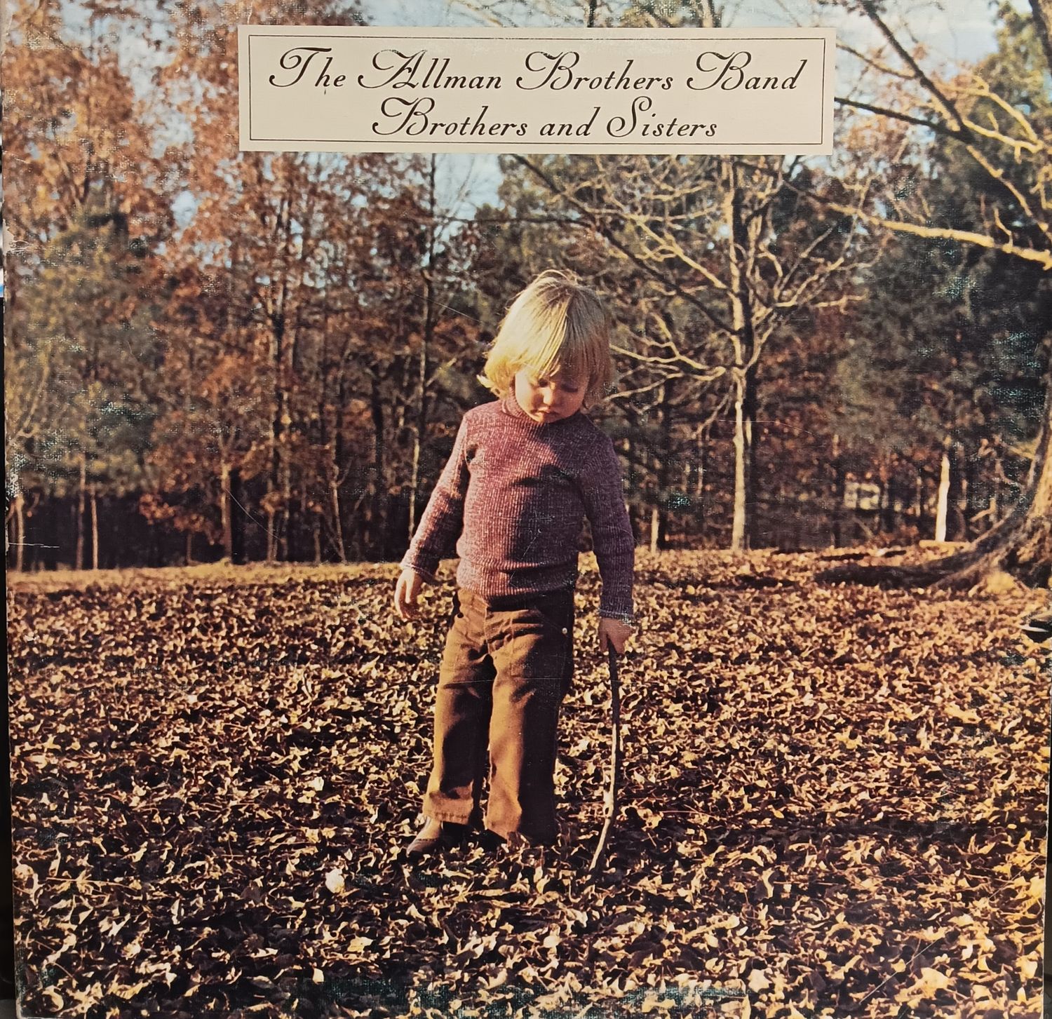 THE ALLMAN BROTHERS BAND - BROTHERS AND SISTERS