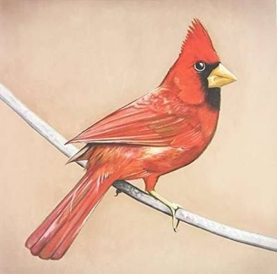 ALEXISONFIRE - OLD CROWS (CD)