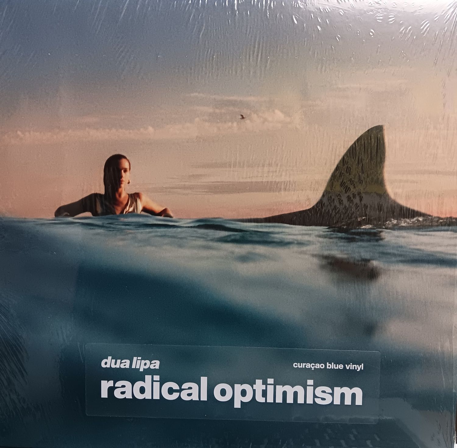 DUA LIPA - RADICAL OPTIMISM
