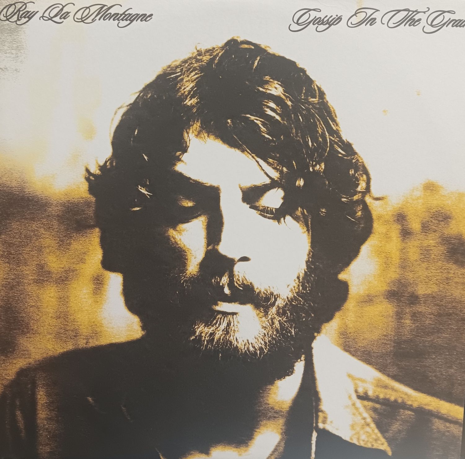 RAY LA MONTAGNE - GOSSIP IN THE GRAIN
