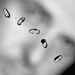 PETER GABRIEL - UP (CD)
