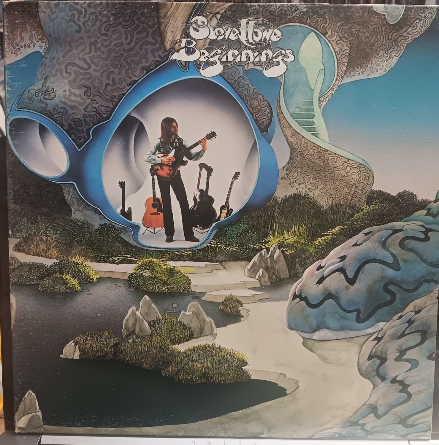 STEVE HOWE - BEGINNINGS