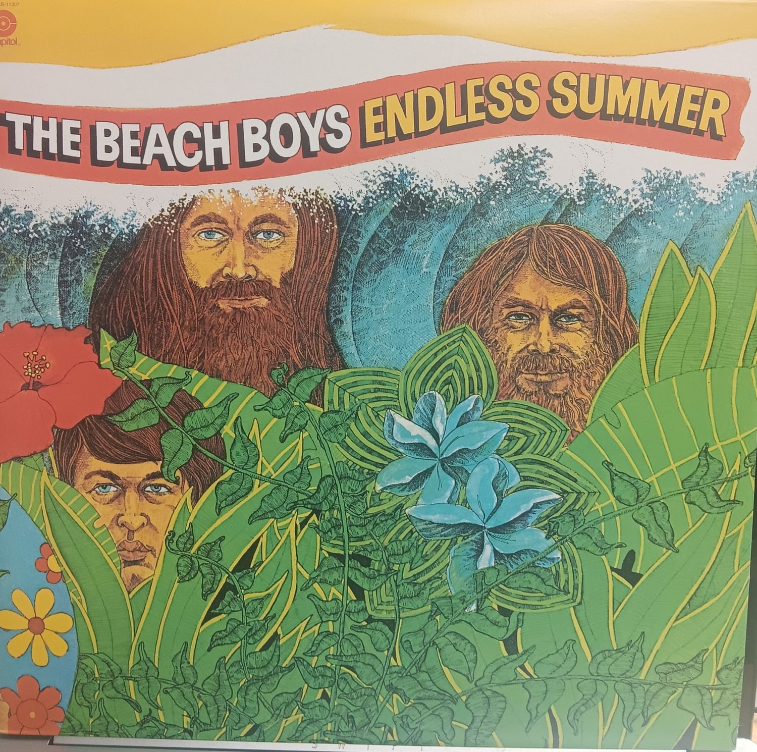 THE BEACH BOYS - ENDLESS SUMMER (2008)