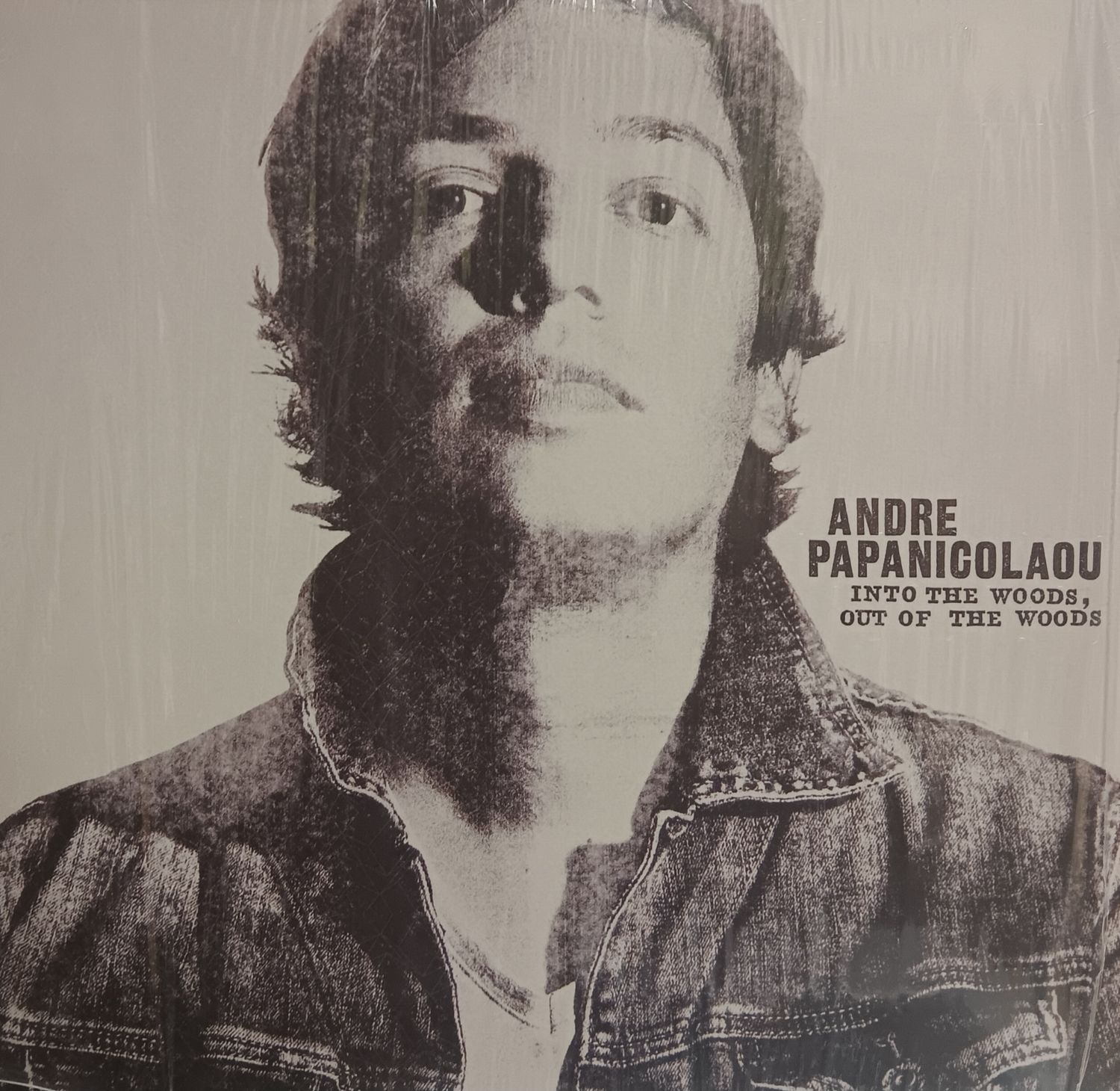 ANDRE PAPANICOLAOU - INTO THE WOODS OUT OF THE WOODS