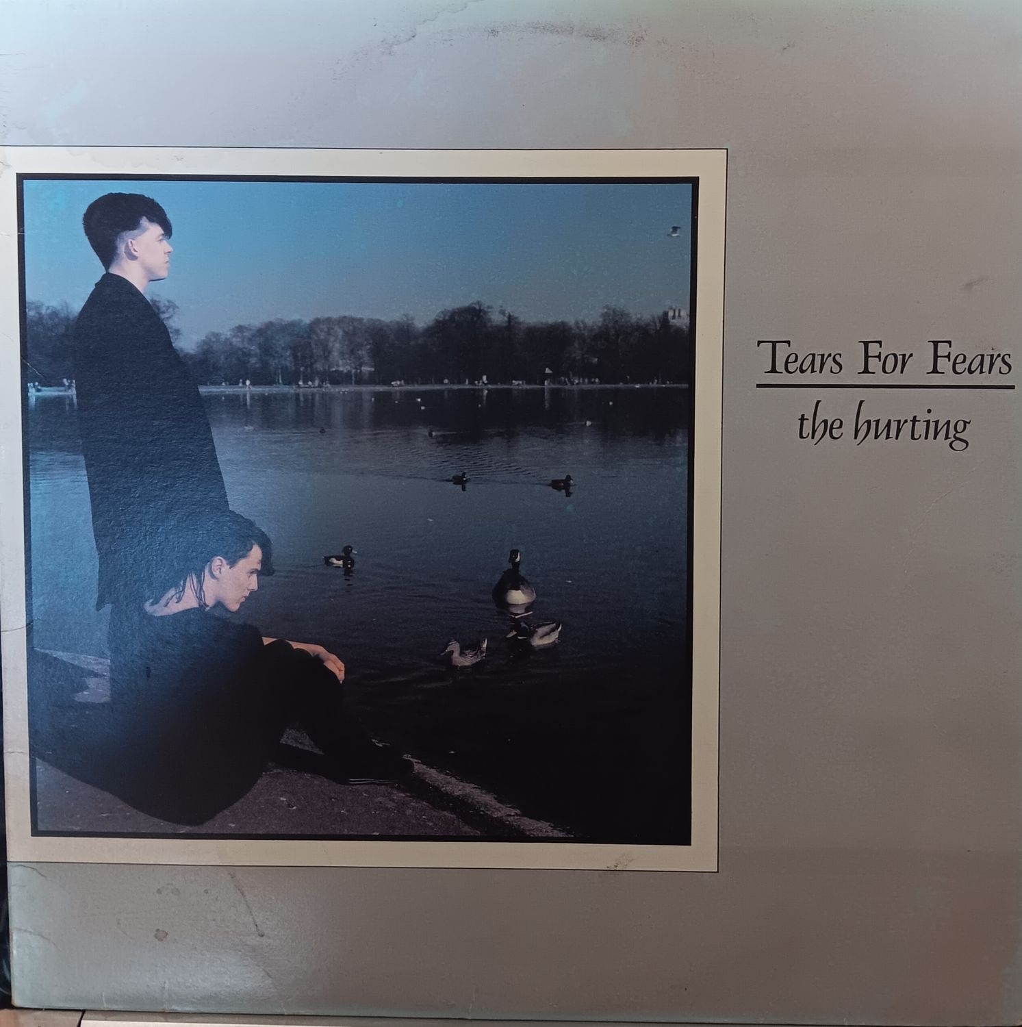 TEARS FOR FEARS - THE HURTING