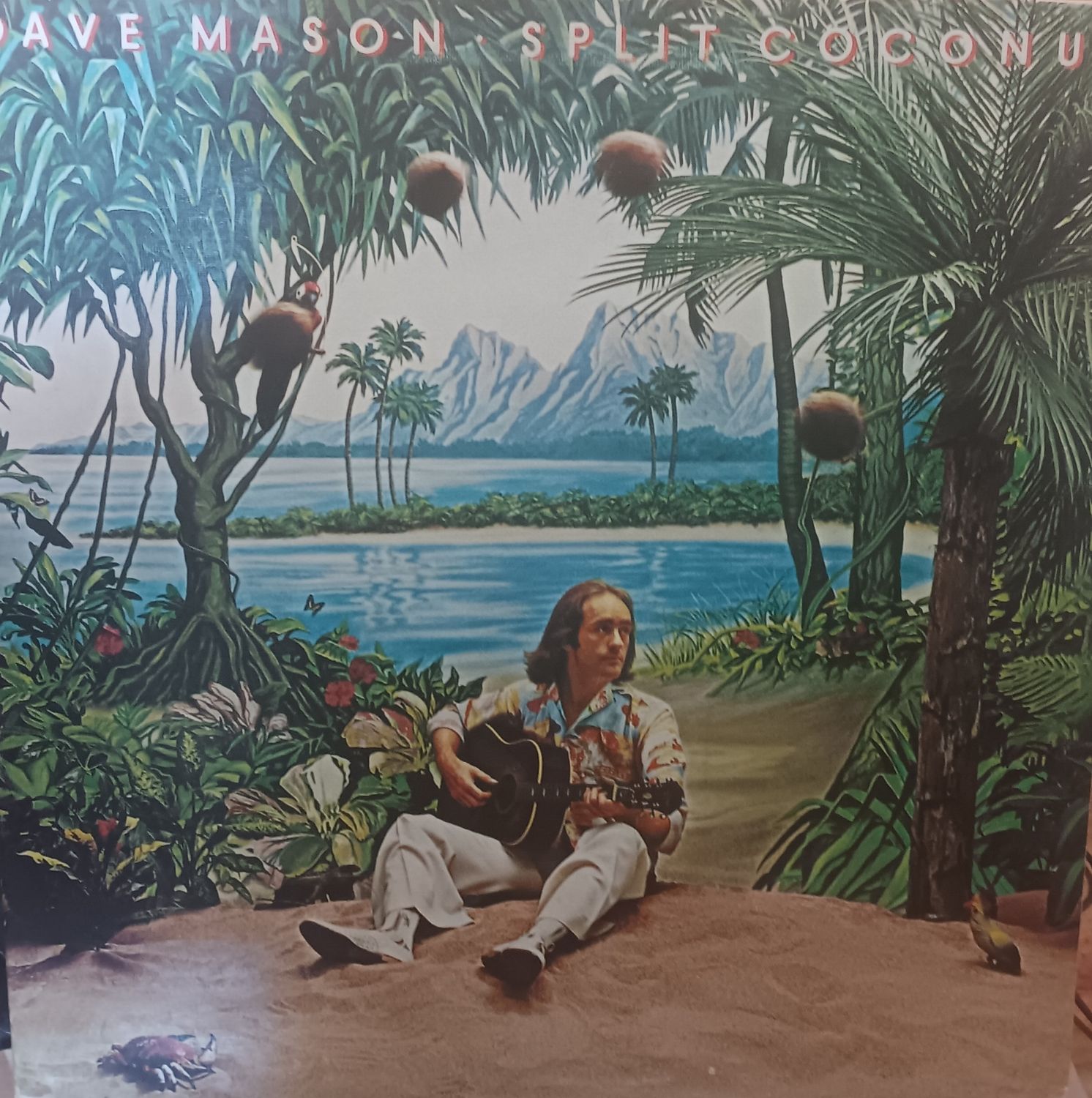 DAVE MASON - SPLIT COCONUT