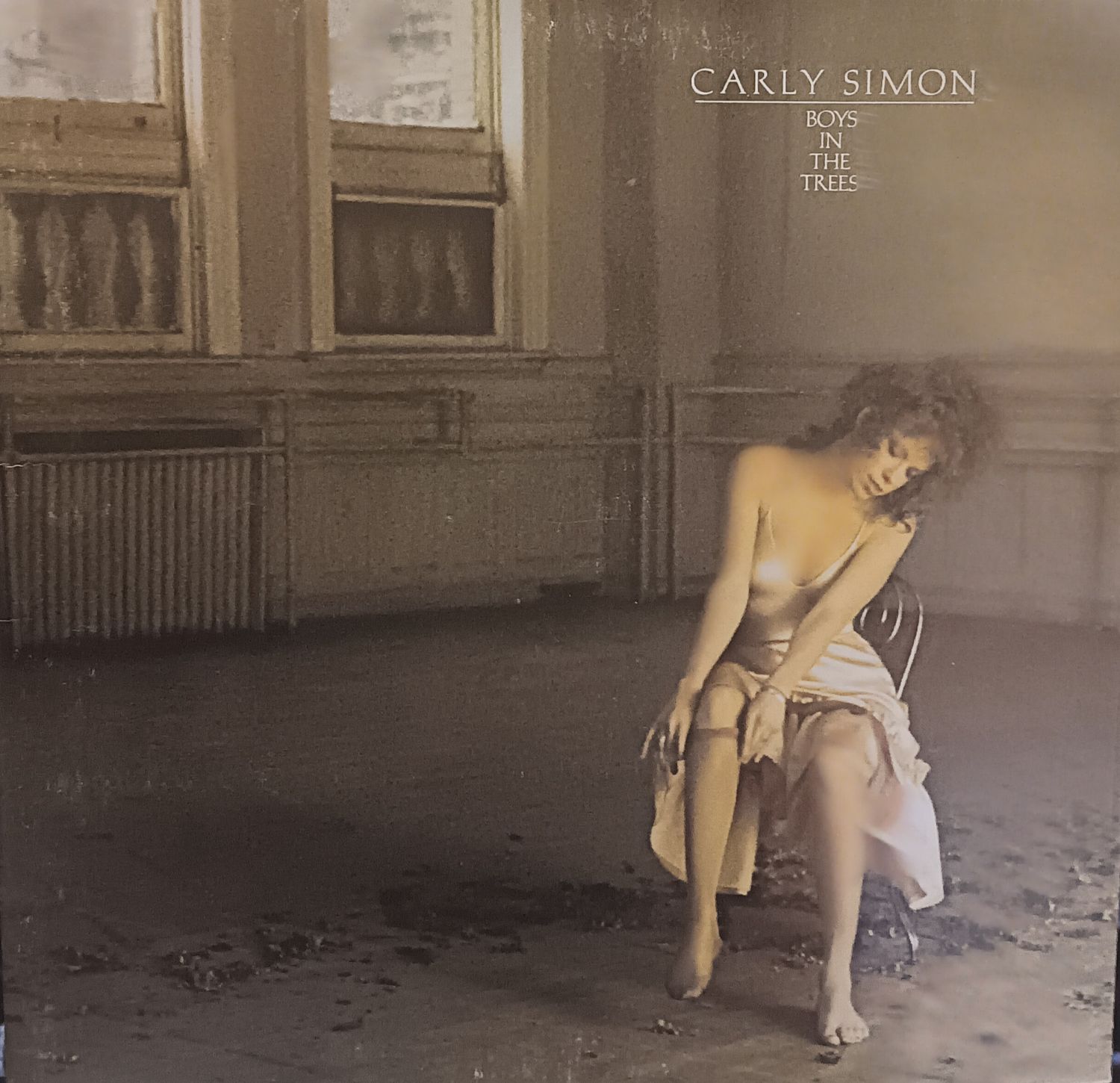 CARLY SIMON - BOYS IN THE TREES