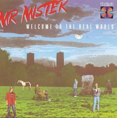 MR MISTER - WELCOME TO THE REAL WORLD (CD)