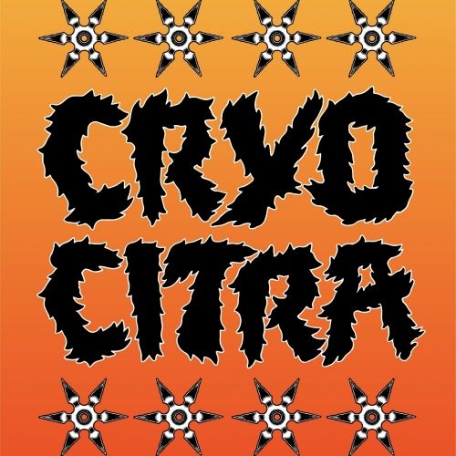 Pipeworks Cryo Citra IPA