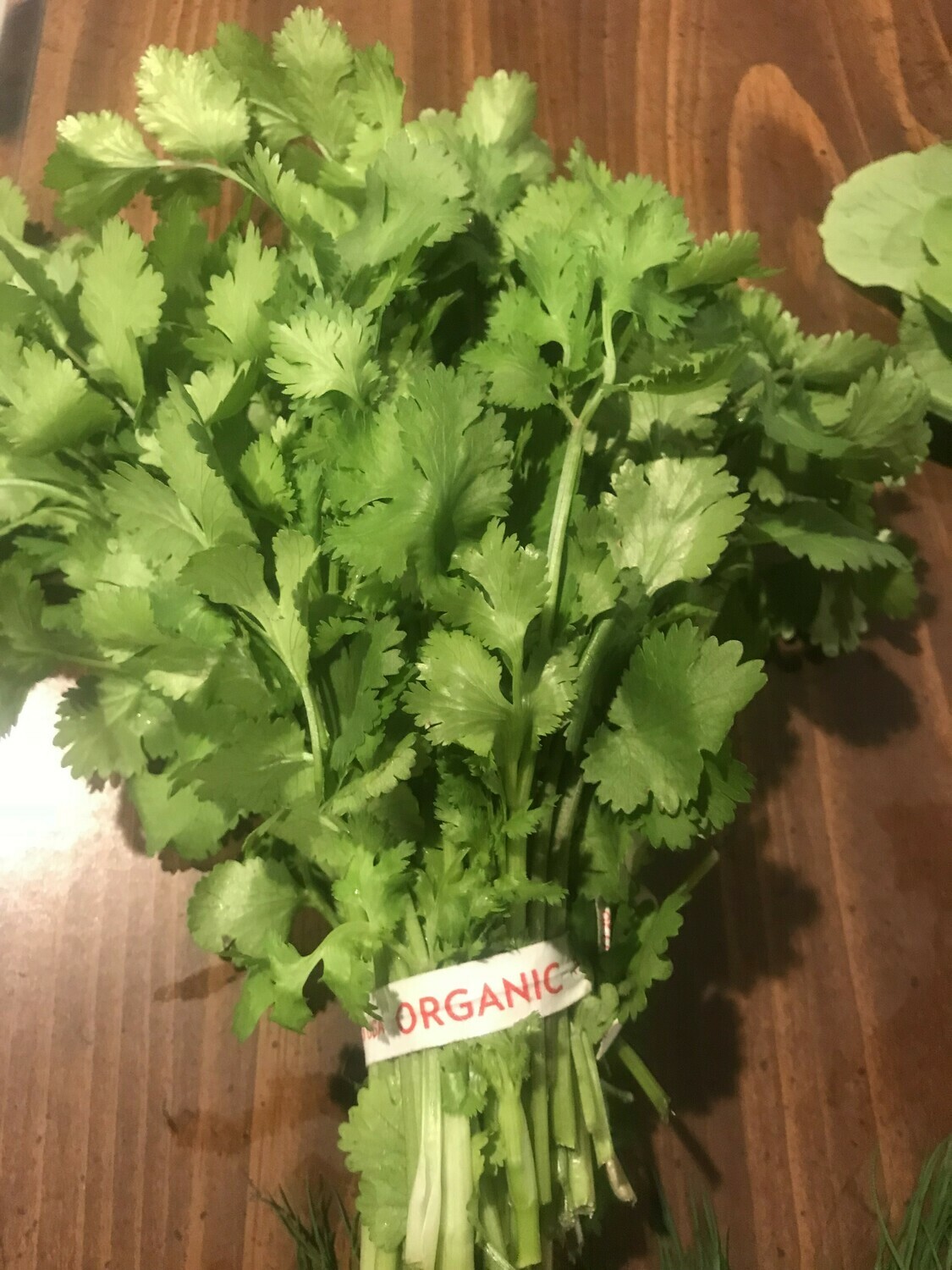 Cilantro bunch