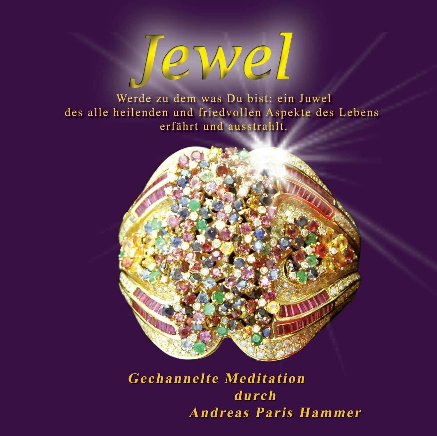 CD: Meister-Meditation 