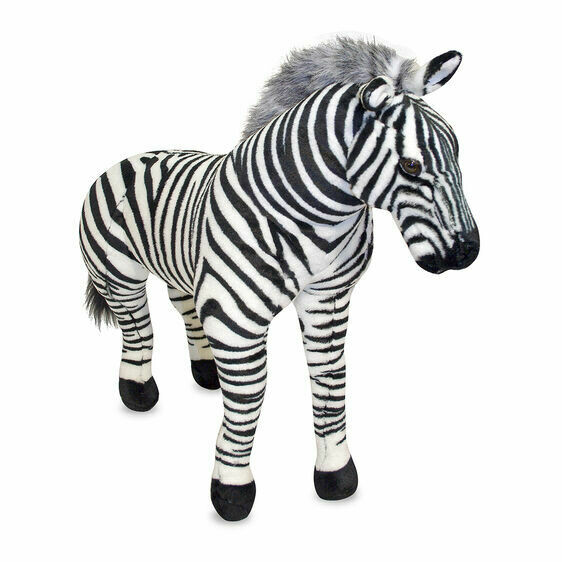 call me zebra call me zebra