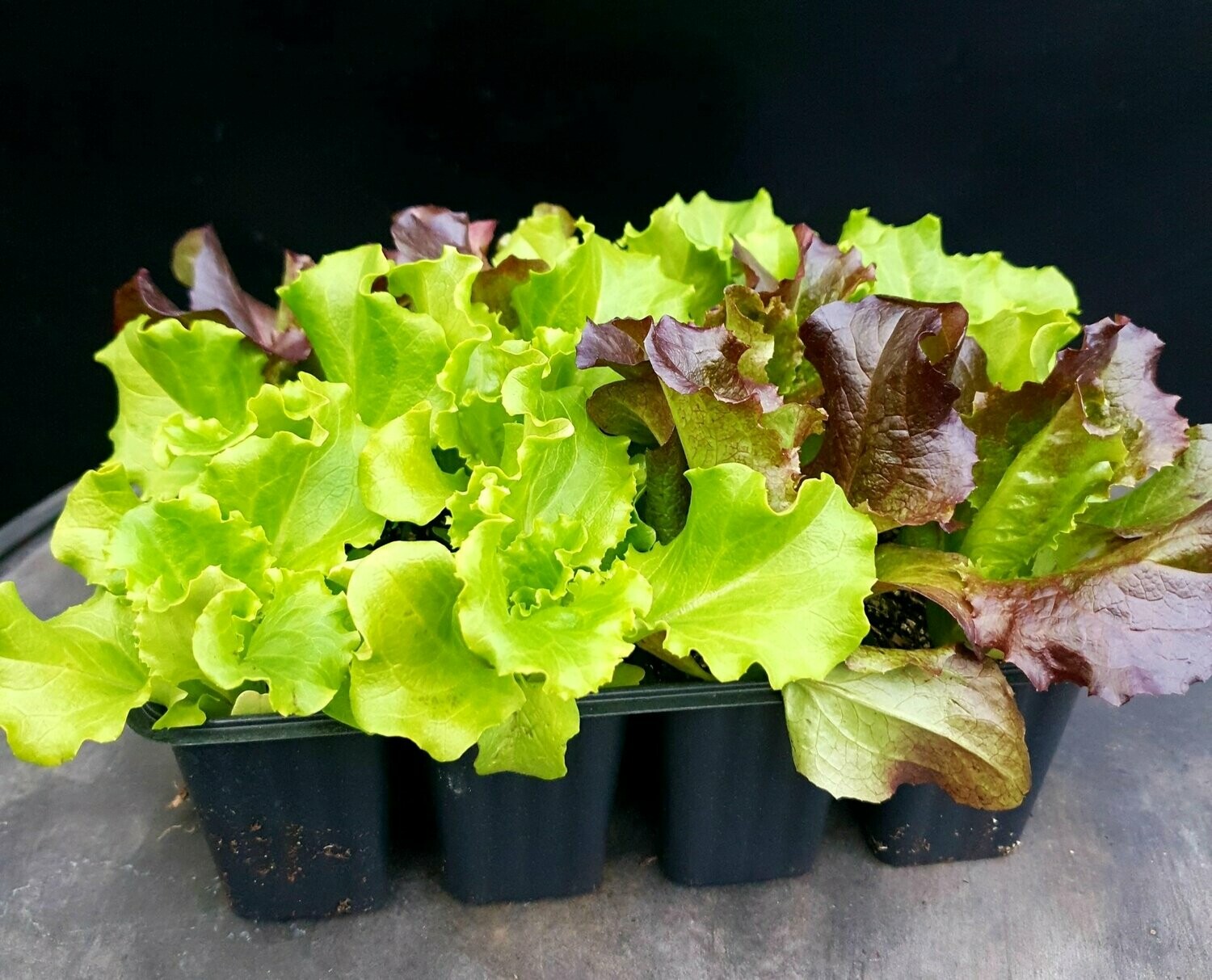 Salades