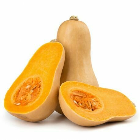 Courge Butternut Sibelle