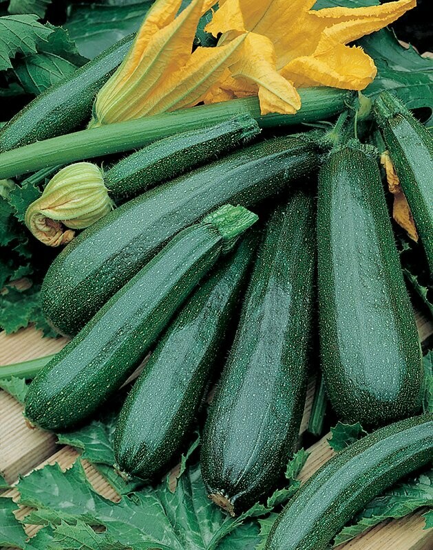 Courgettes